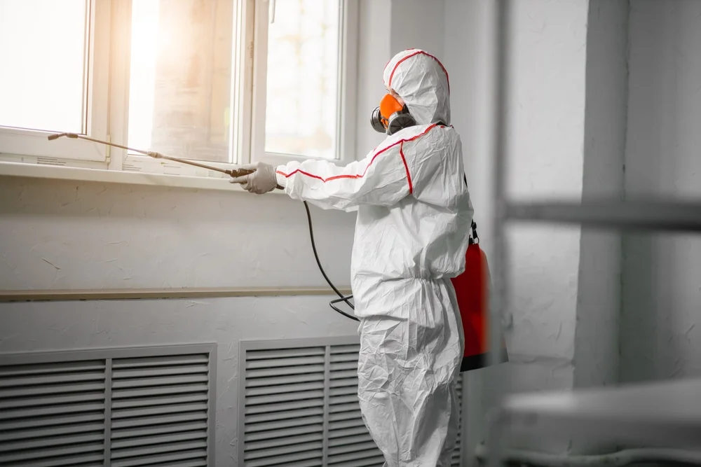Professional mold remediation services in Coopers Mills, ME
